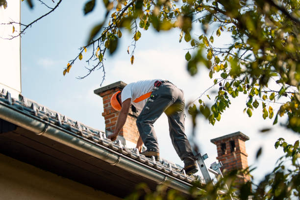 Best Hot Roofs  in Pittsfield, IL
