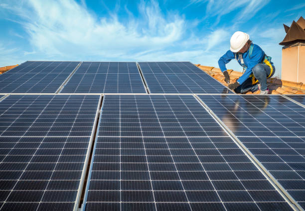 Best Roof Moss and Algae Removal  in Pittsfield, IL
