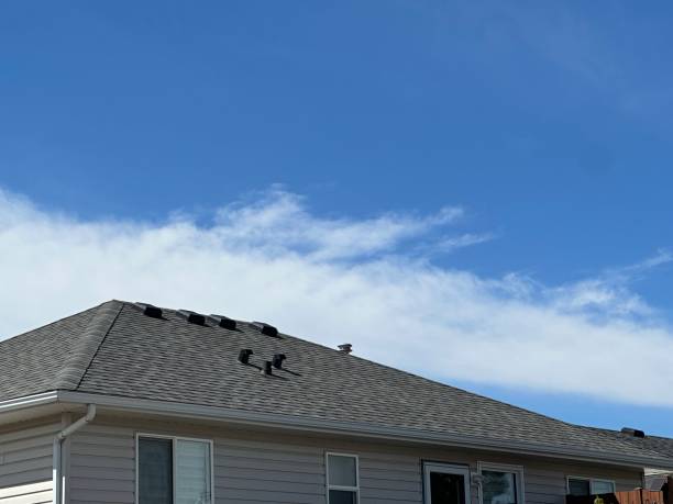 Best Slate Roofing  in Pittsfield, IL